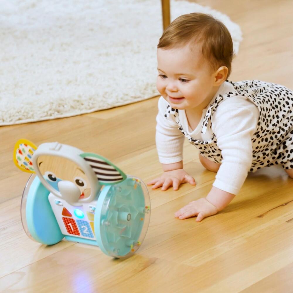 Baby Einstein Chase & Tap Emekleme Oyuncağı Fil Earl - 5
