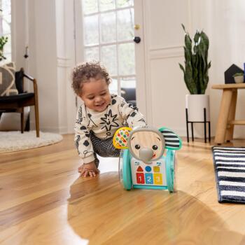 Baby Einstein Chase & Tap Emekleme Oyuncağı Fil Earl - 12