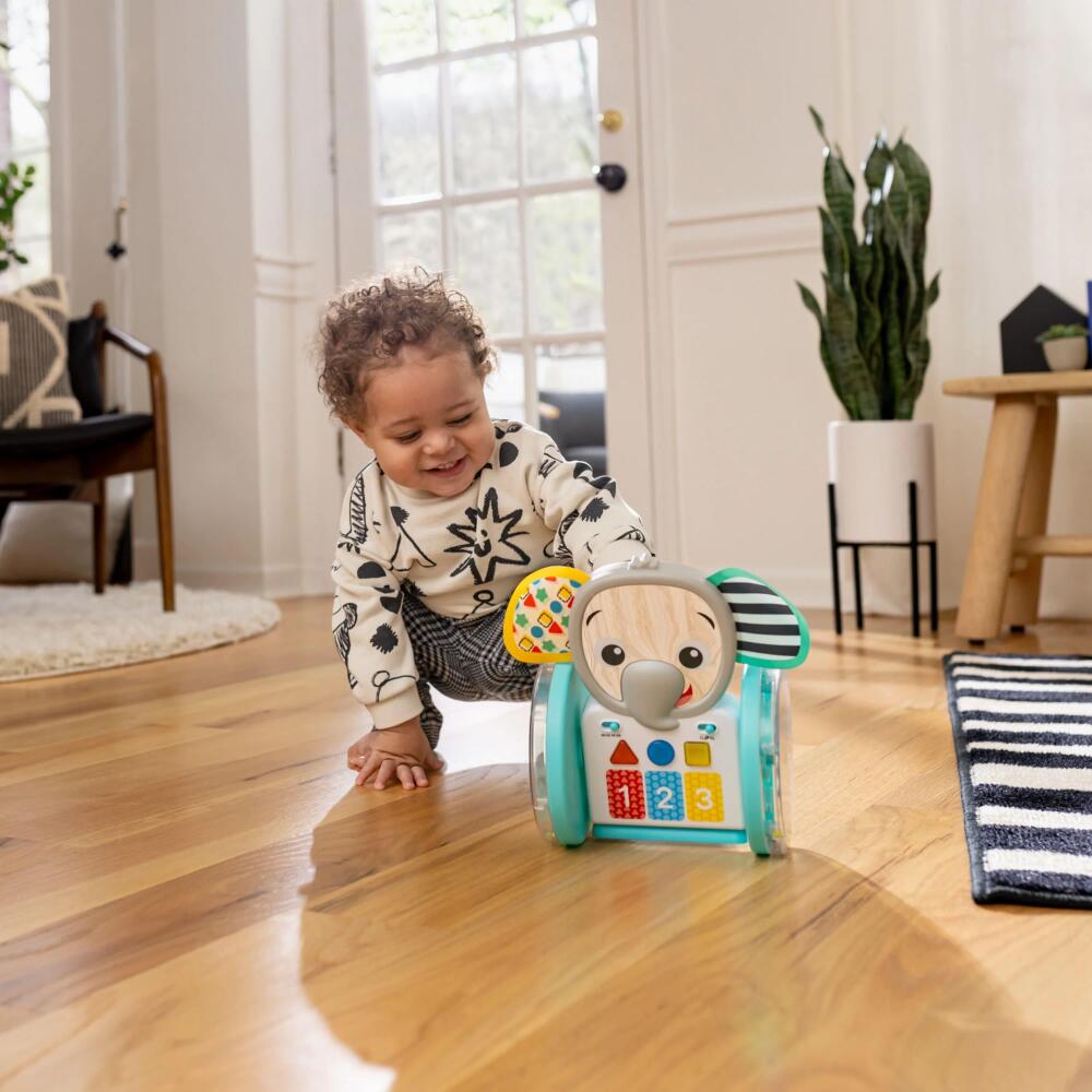 Baby Einstein Chase & Tap Emekleme Oyuncağı Fil Earl - 12