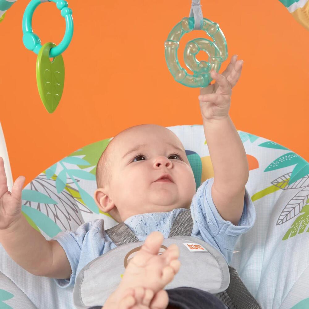 Bright Starts Yağmur Ormanı Taşınabilir Salıncak - 8