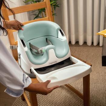 Ingenuity Baby Base Portatif Mama Sandalyesi Mist - Ingenuity (1)